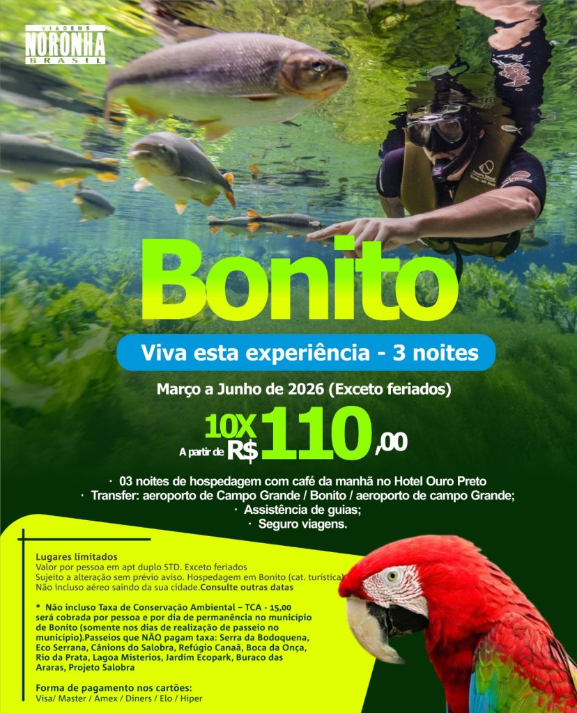 Bonito