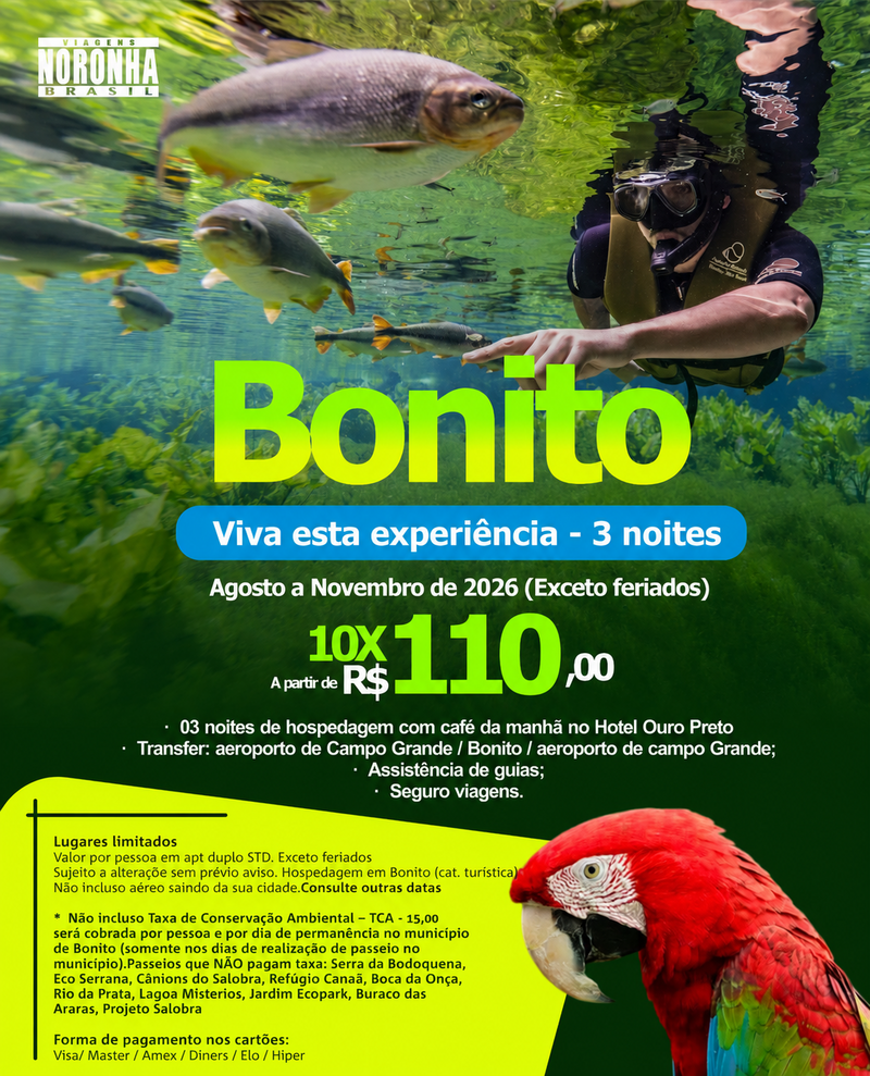 Bonito